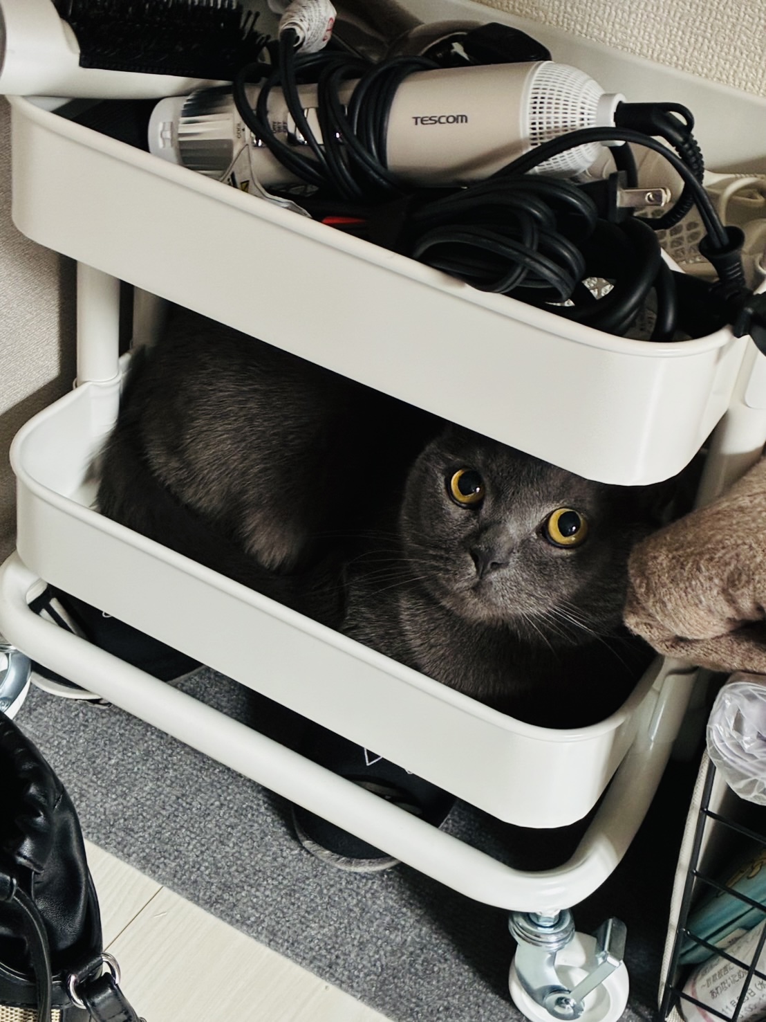 冬季休業のおしらせ